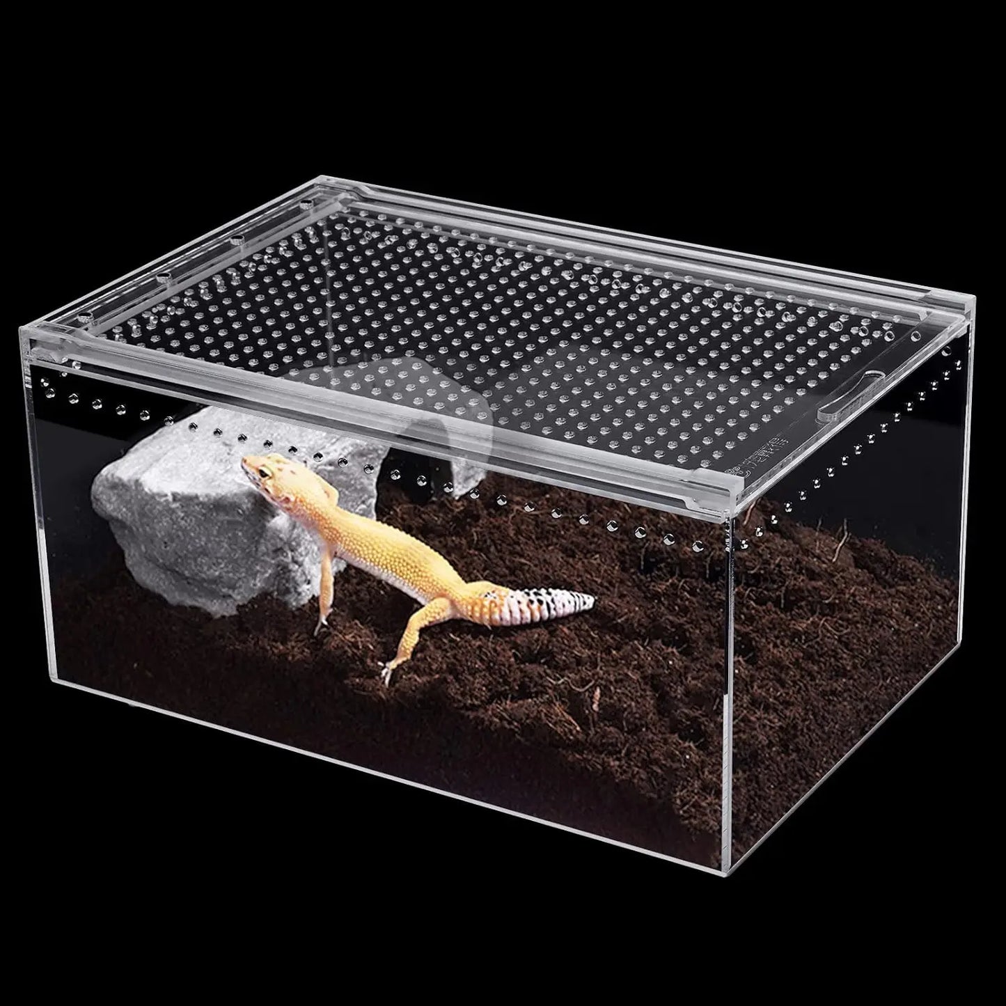Magnetic Acrylic Large Enclosure 2.5 Gallon Reptile Breeding Box