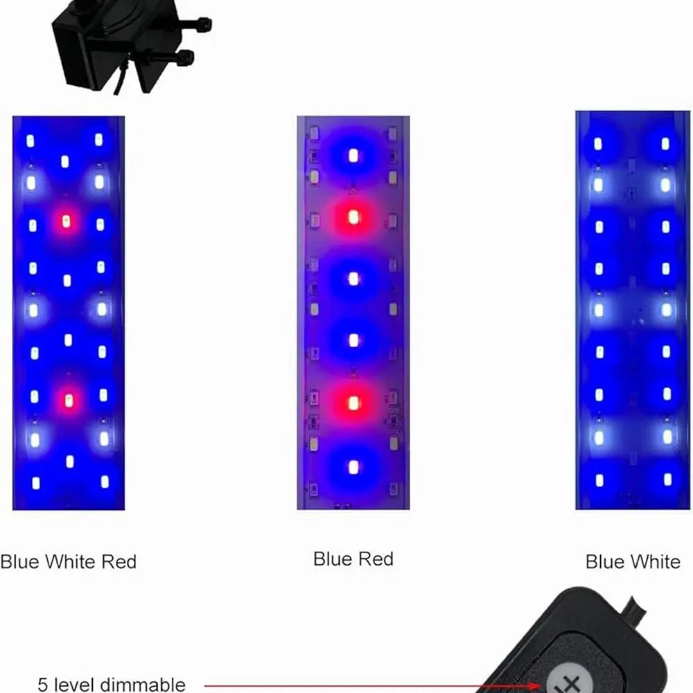 Rimless Saltwater Aquarium With Lid Protein Skimmer LED Light Kit