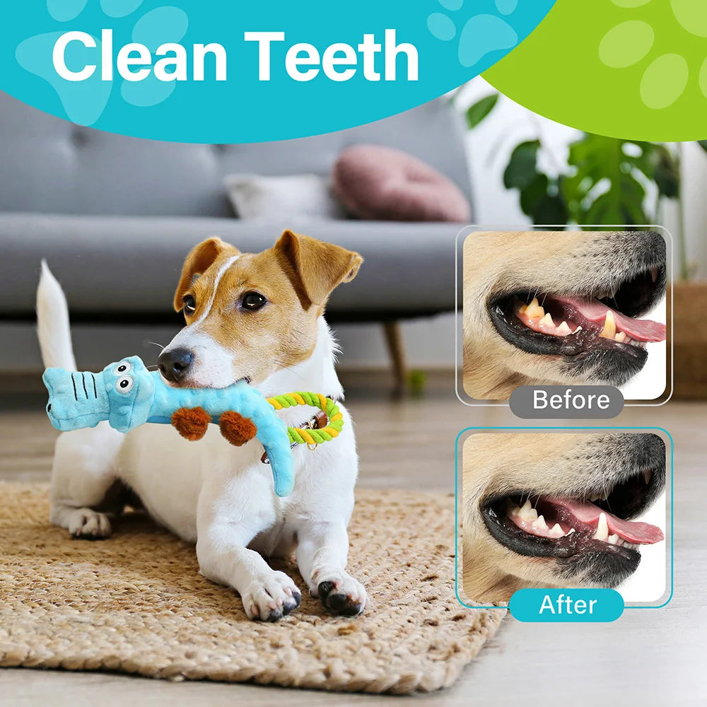 Dog Squeaky Toy Set Tug of War Plush Chew Toys