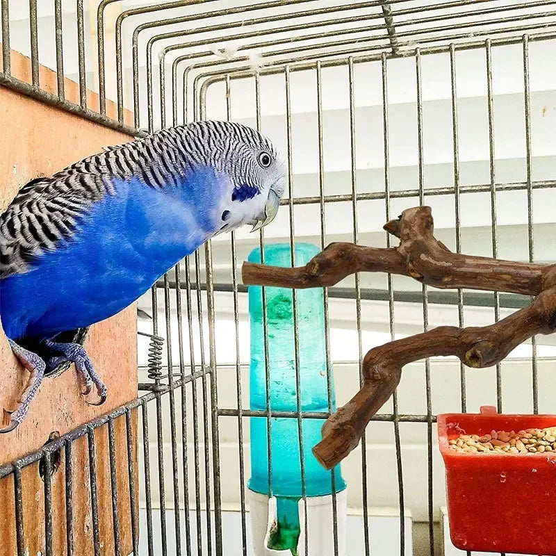 Wild Grape Wood Bird Standing Stick For Parrots Cockatiels Parakeets