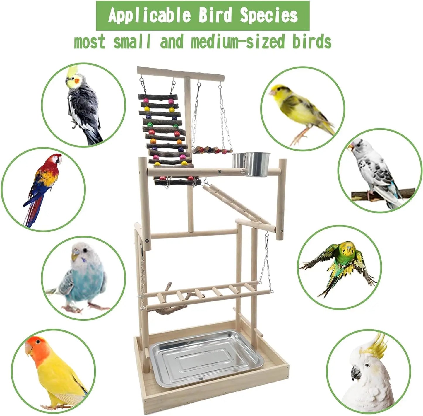 Wooden 4 Layer Bird Playground Perch Gym For Parrots And Medium Birds