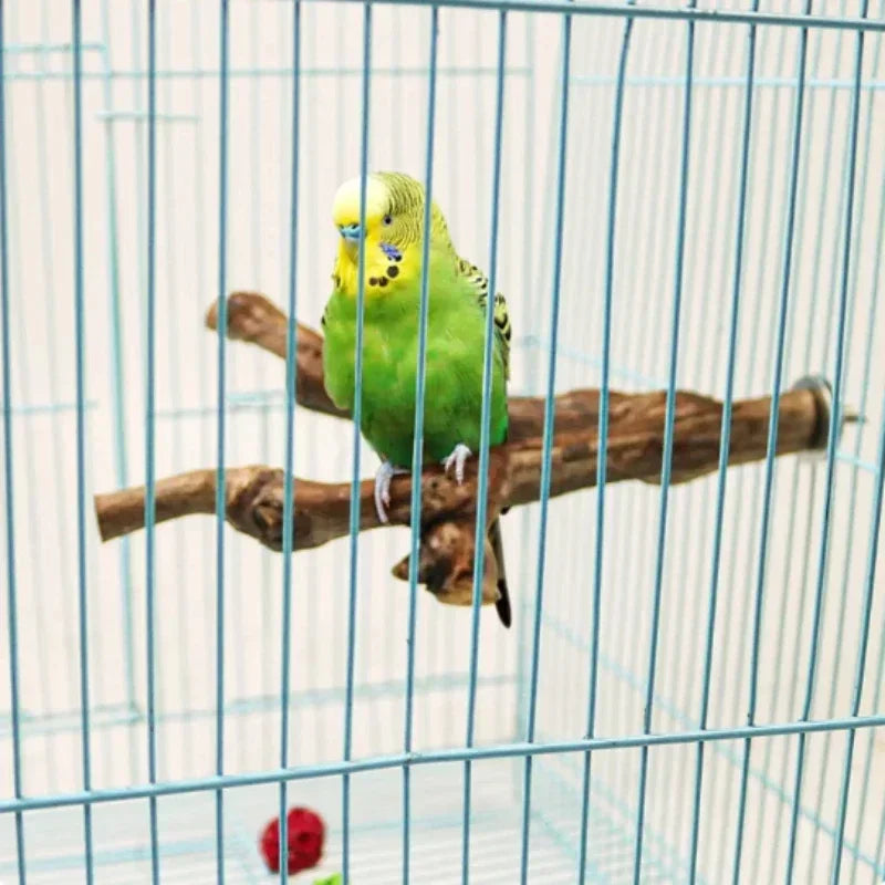 Wild Grape Wood Bird Standing Stick For Parrots Cockatiels Parakeets