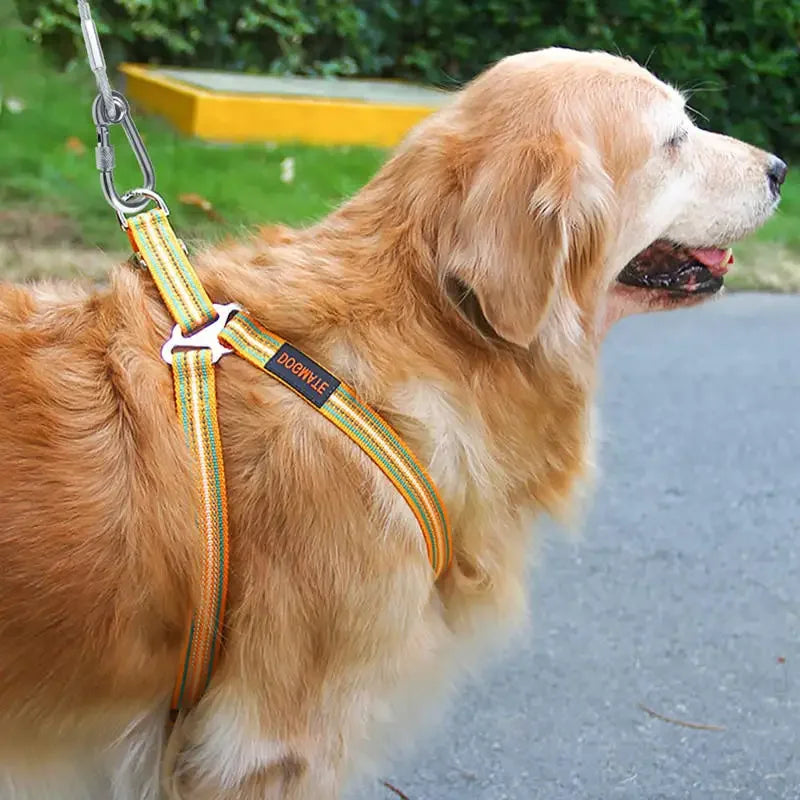 Double Headed Dog Tie Out Cable Leash Stainless Steel Buckle