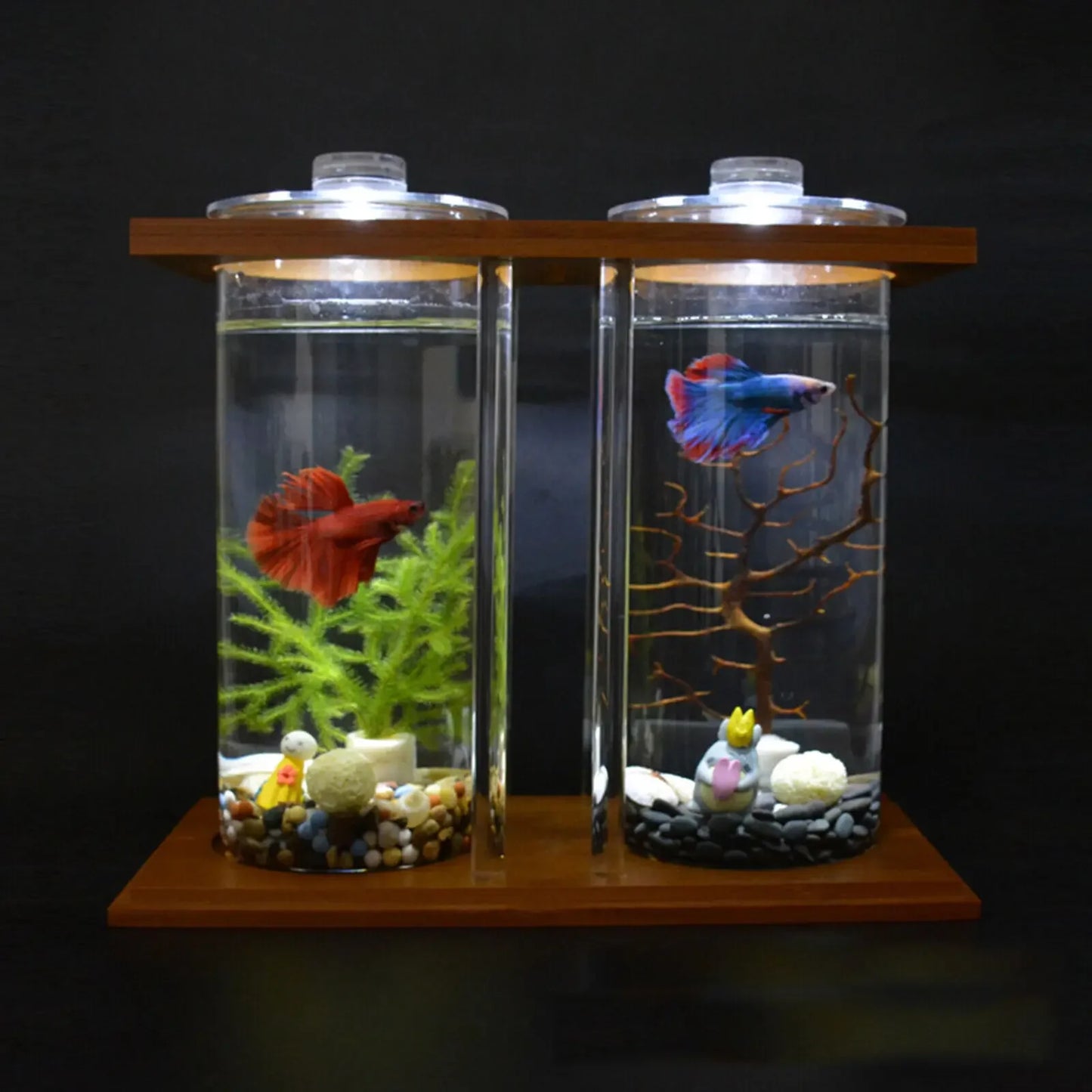 Mini Glass Betta Tank With Bamboo Base LED Desk Aquarium