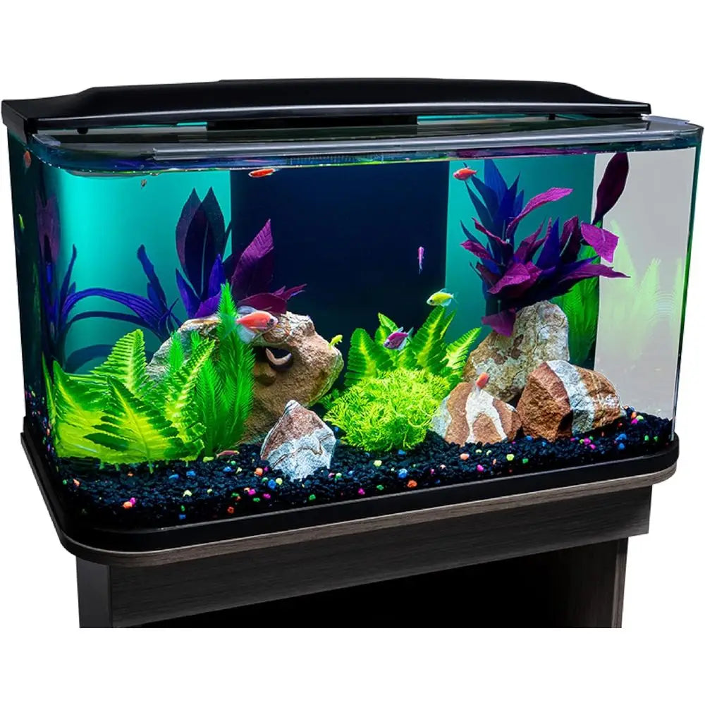 Glass Aquarium Kit With Hood And Led Lighting And Integrated Filtration