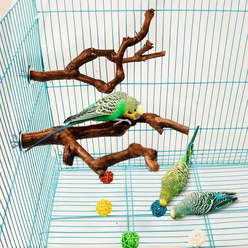 Wild Grape Wood Bird Standing Stick For Parrots Cockatiels Parakeets