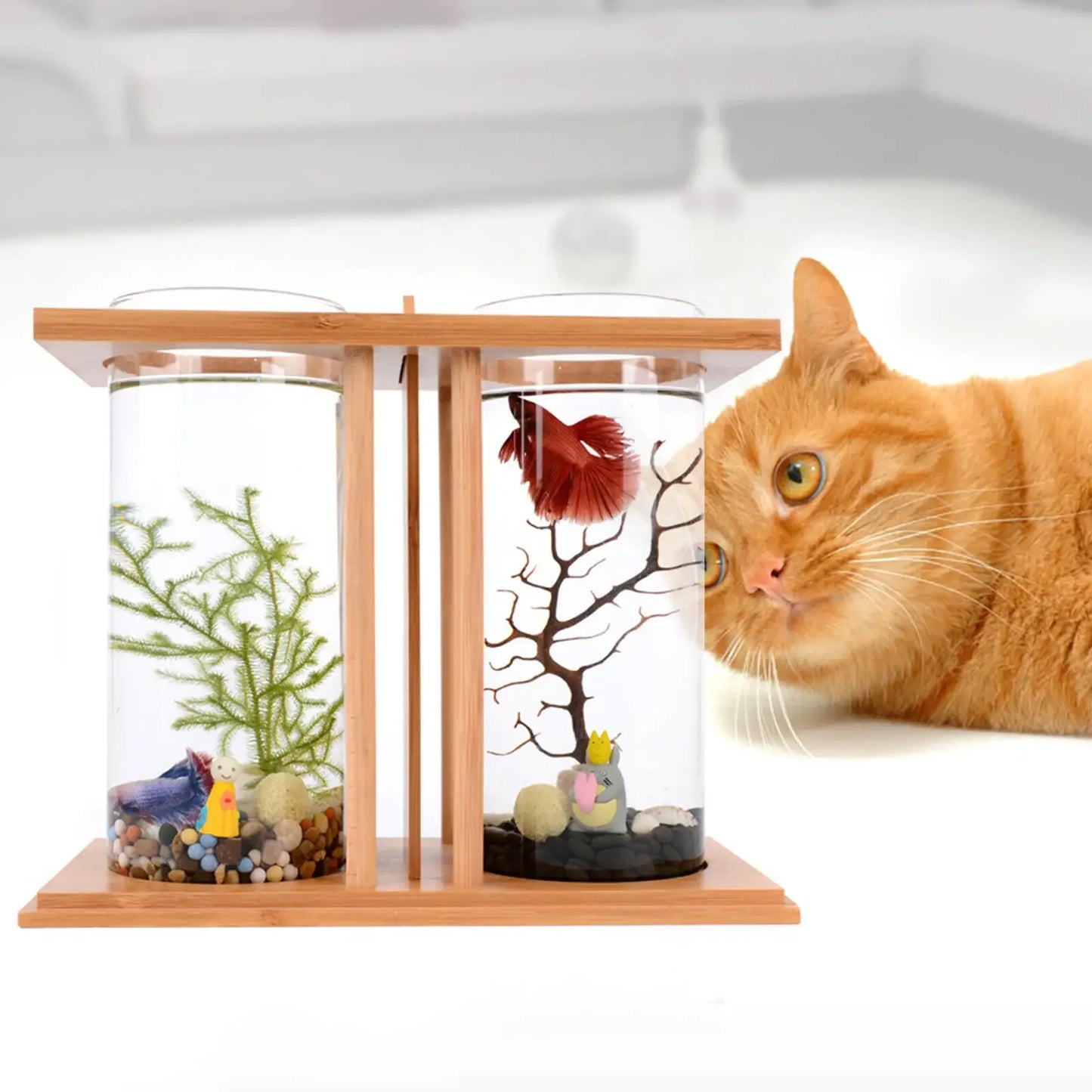 Mini Glass Betta Tank With Bamboo Base LED Desk Aquarium