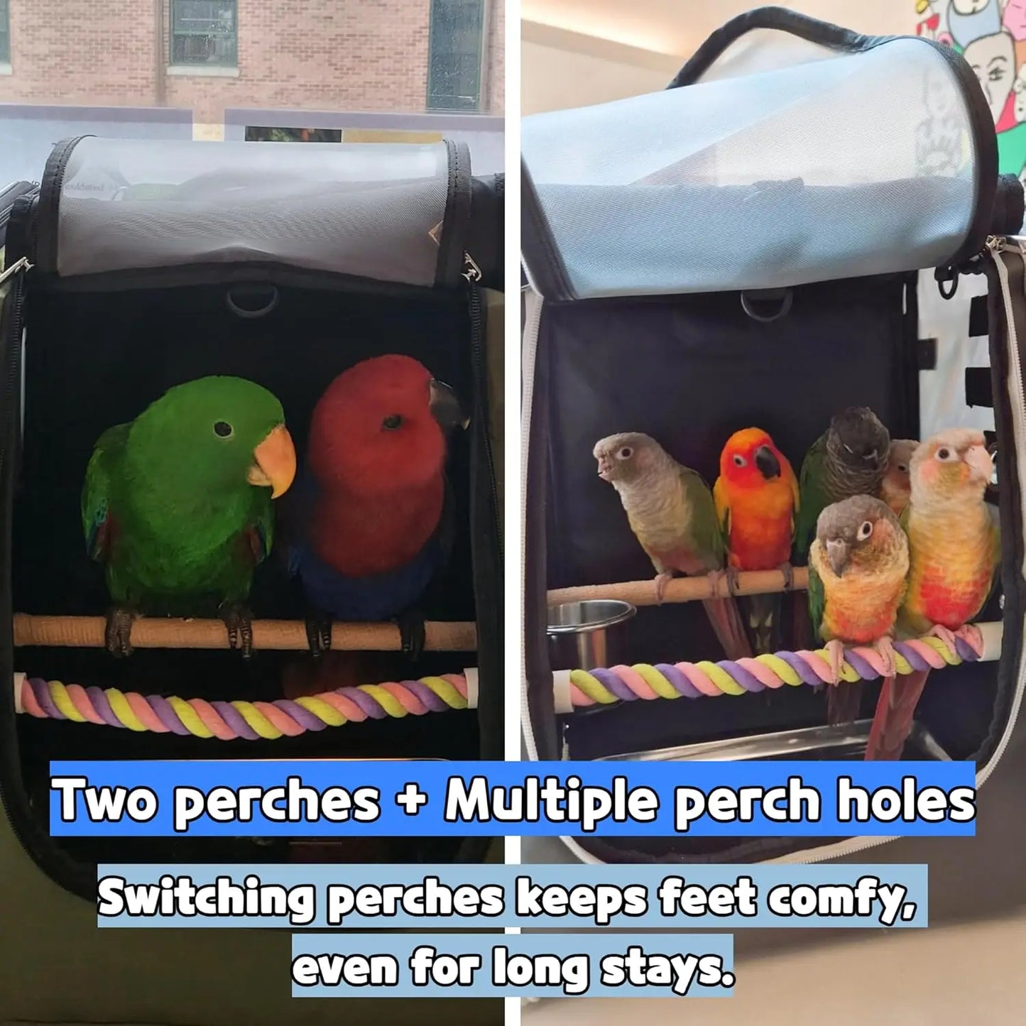 NONE Bird Carrier Backpack With Ventilation Perches Stainless Tray