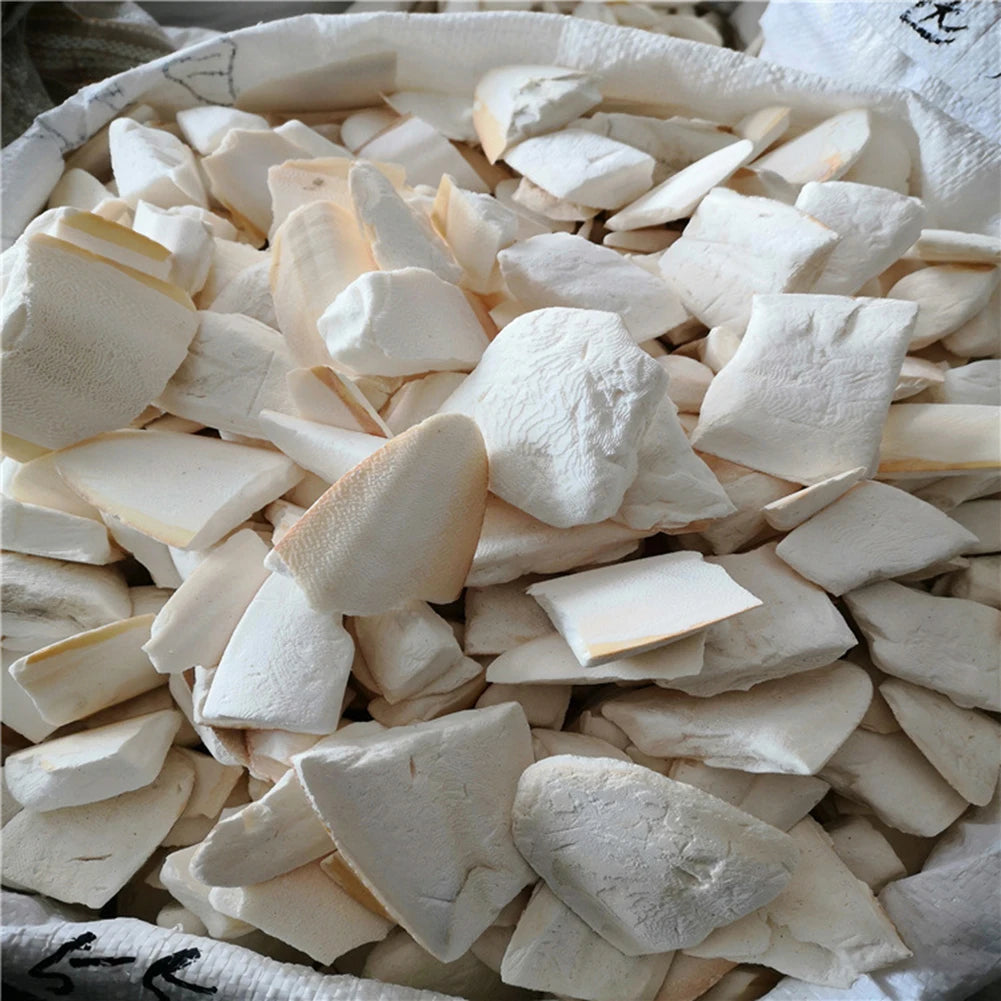 ALIILEECN Cuttlebone Parrot Chew Toys Natural Bird Calcium Supplement