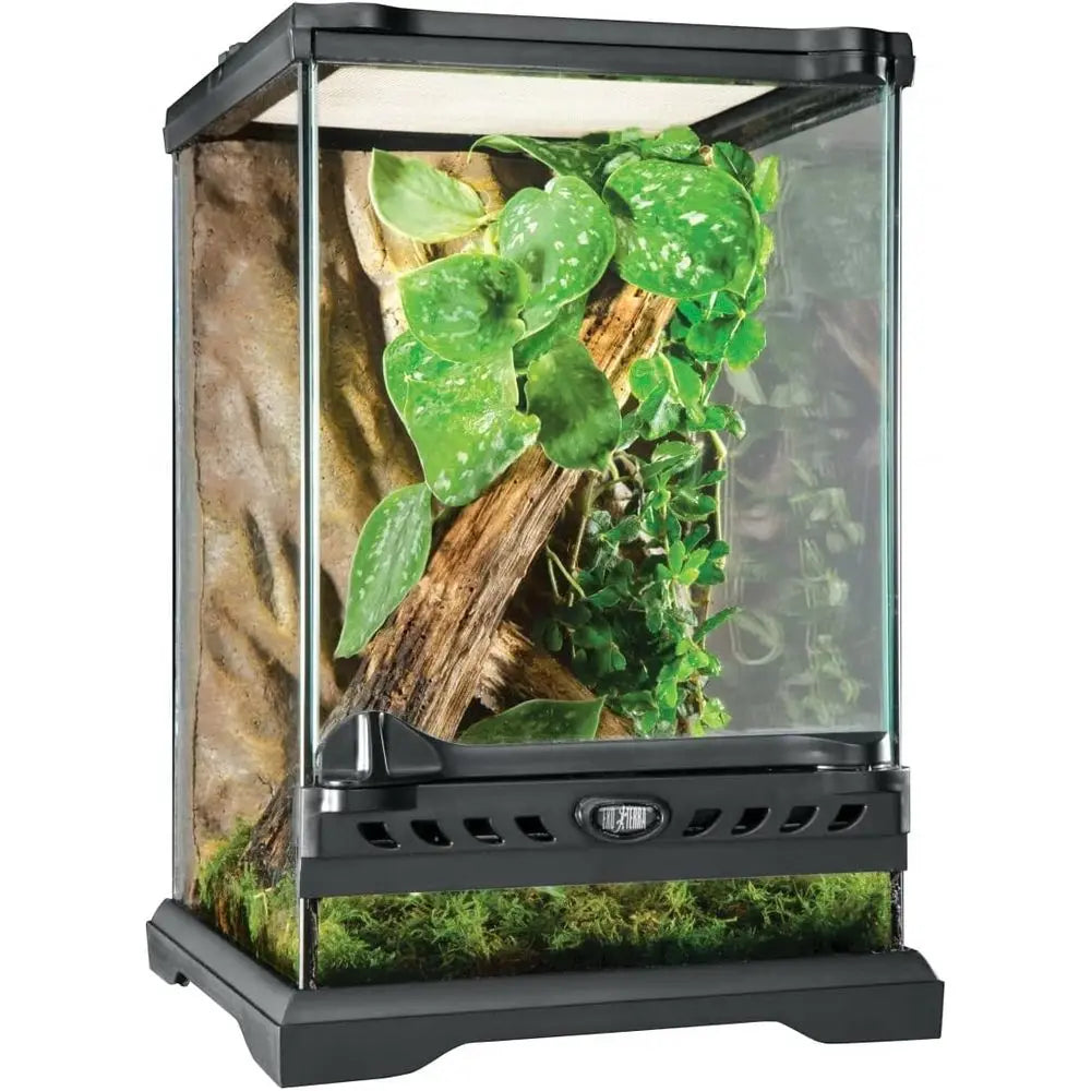 Natural Terrarium Kit for Reptiles and Amphibians Nano Tall