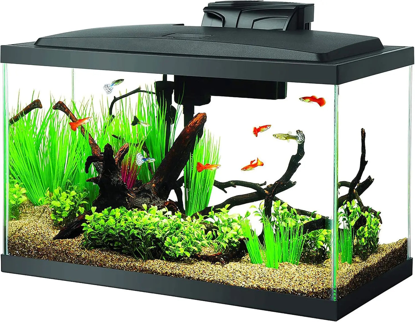All-In-One Aquarium Starter Kit With LED Lighting For Freshwater Fish