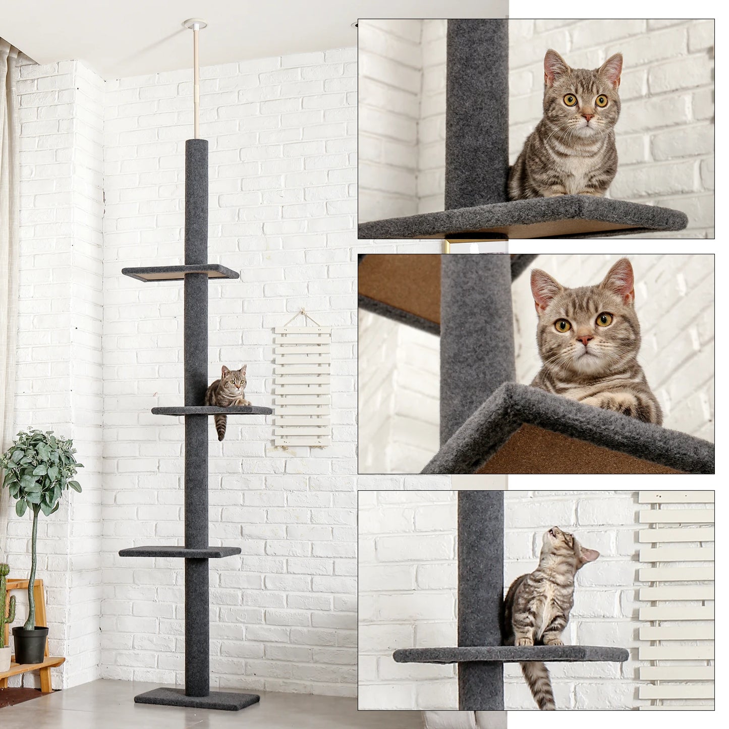 PEQULTICN Adjustable Height Cat Tree FloorCeiling With Scratching Posts