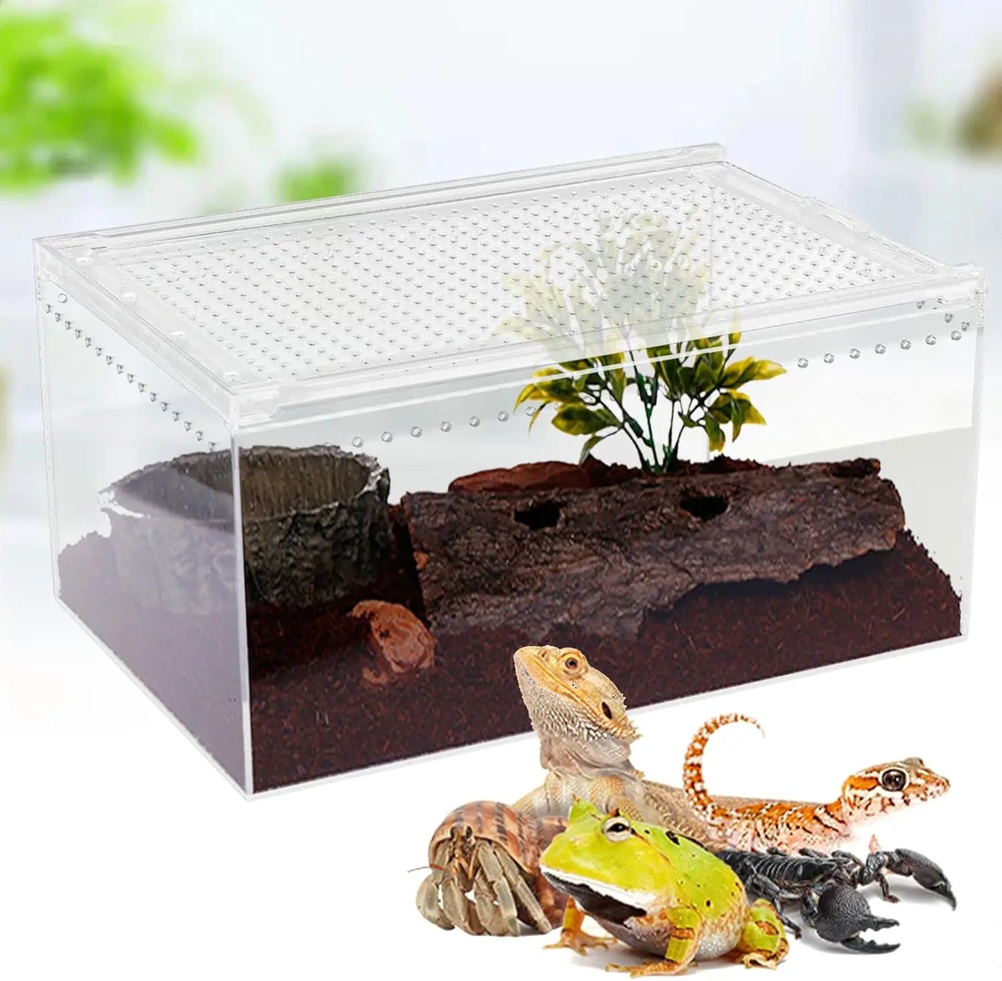 Magnetic Acrylic Large Enclosure 2.5 Gallon Reptile Breeding Box