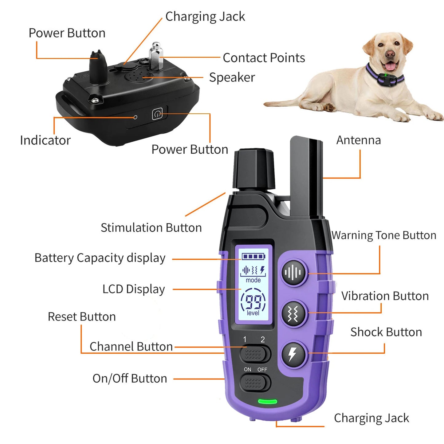 WXRPET 3300Ft Electric Dog Training Collar Remote Control Waterproof