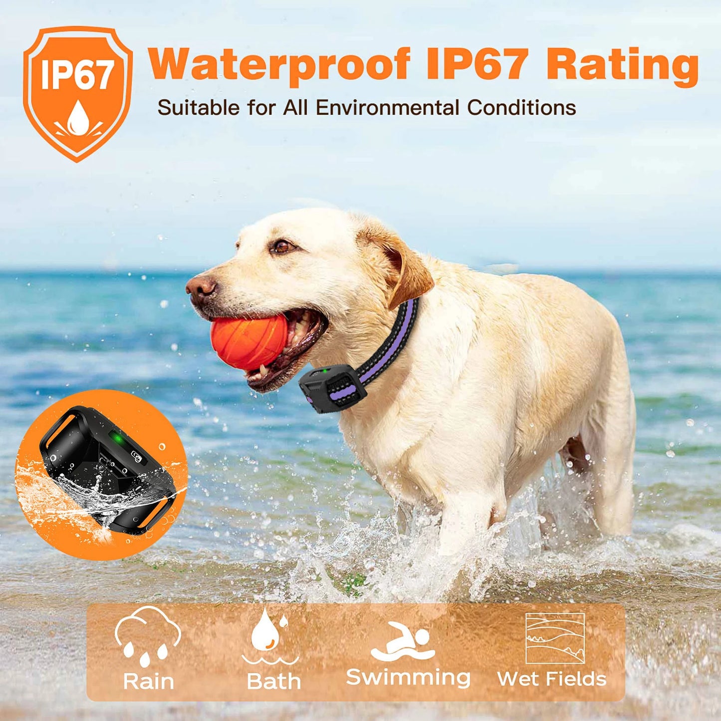 WXRPET 3300Ft Electric Dog Training Collar Remote Control Waterproof