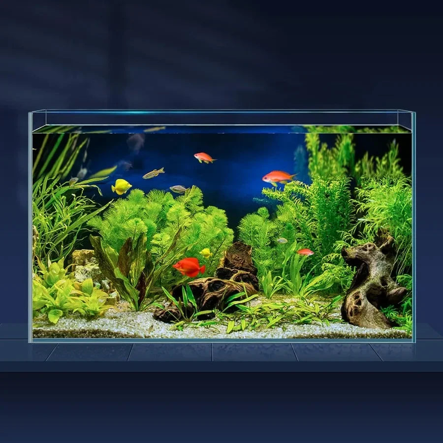 Ultra Clear Rimless Low Iron Glass Fish Tank for Betta
