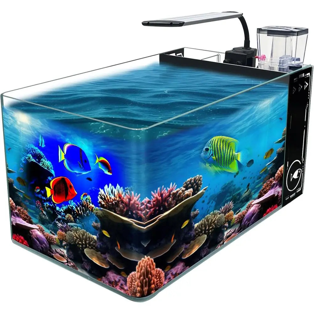Rimless Saltwater Aquarium With Lid Protein Skimmer LED Light Kit