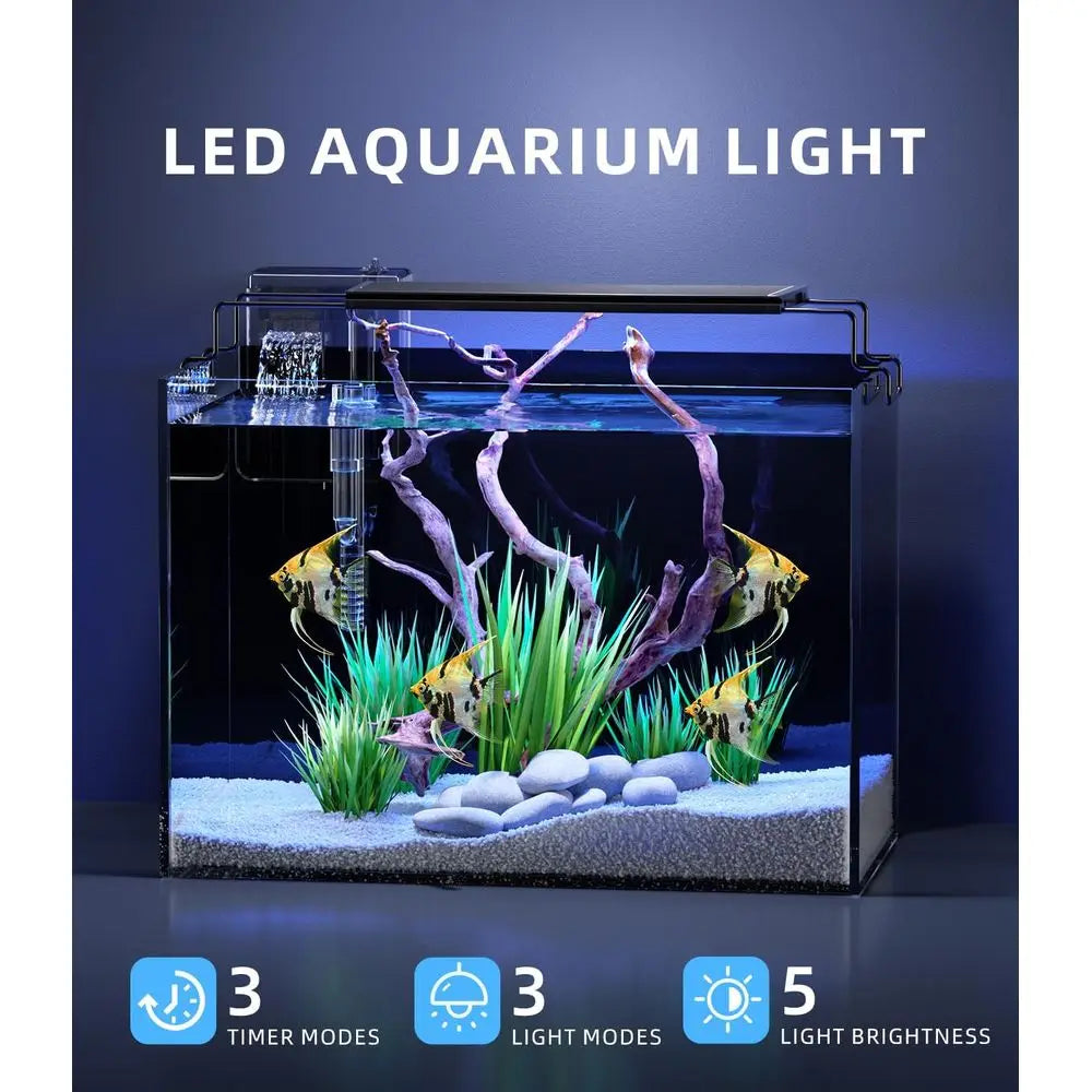 Rimless Betta Aquarium Kit With Self-Cleaning Filter Heater LED Light