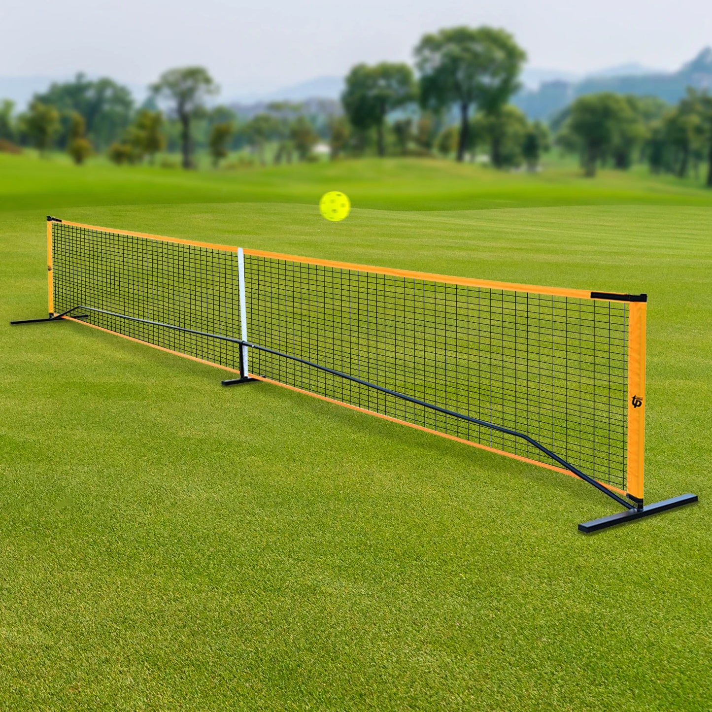 Portable Pickleball Net Set With 4 Paddles Pickleballs Carry Bag