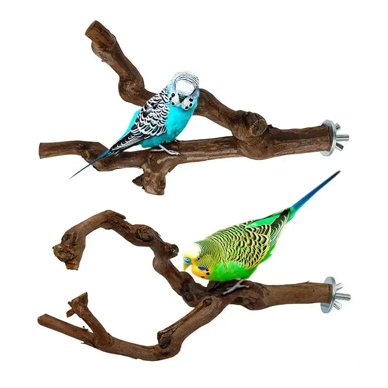 Wild Grape Wood Bird Standing Stick For Parrots Cockatiels Parakeets