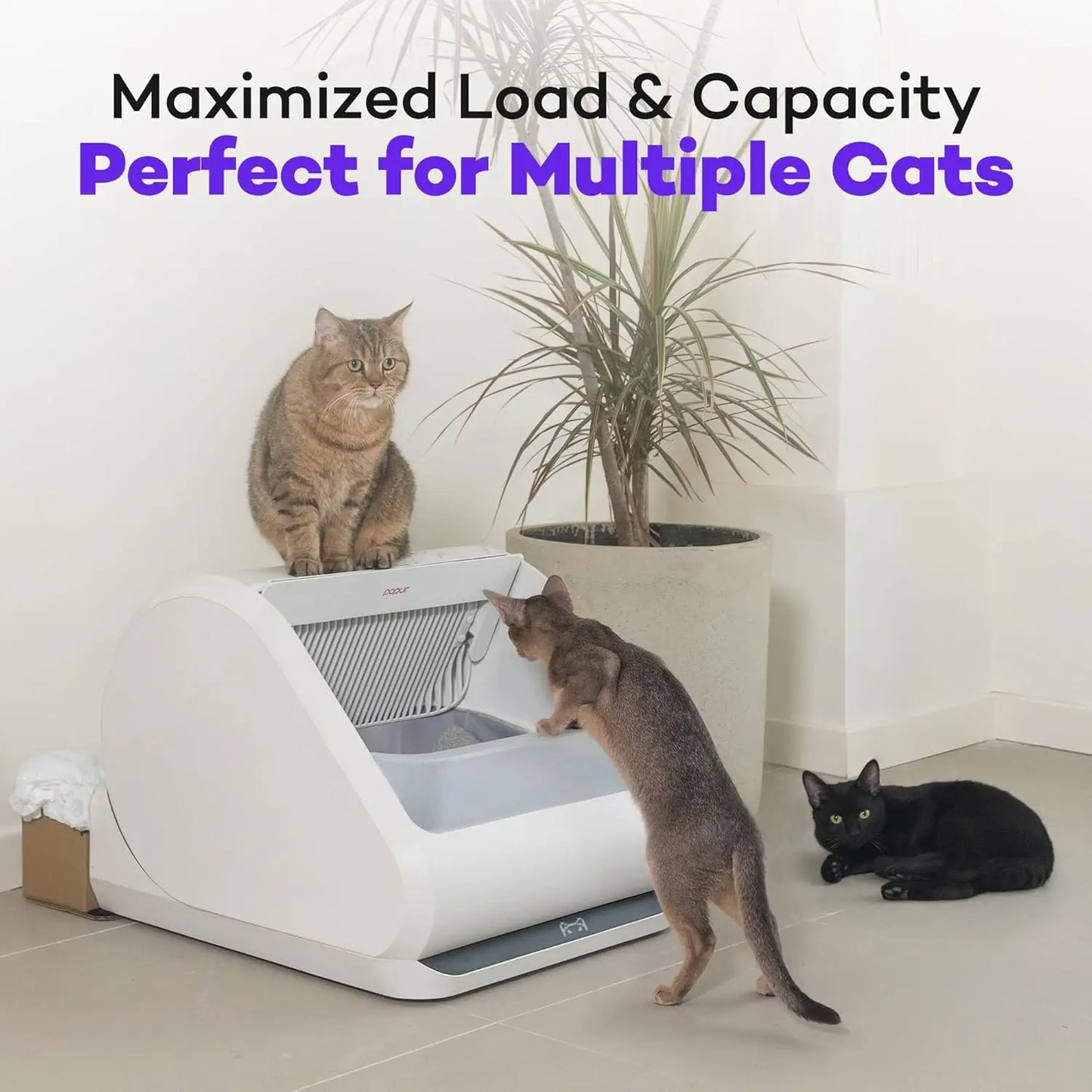 X5 Self Cleaning Cat Litter Box Open Top Split System