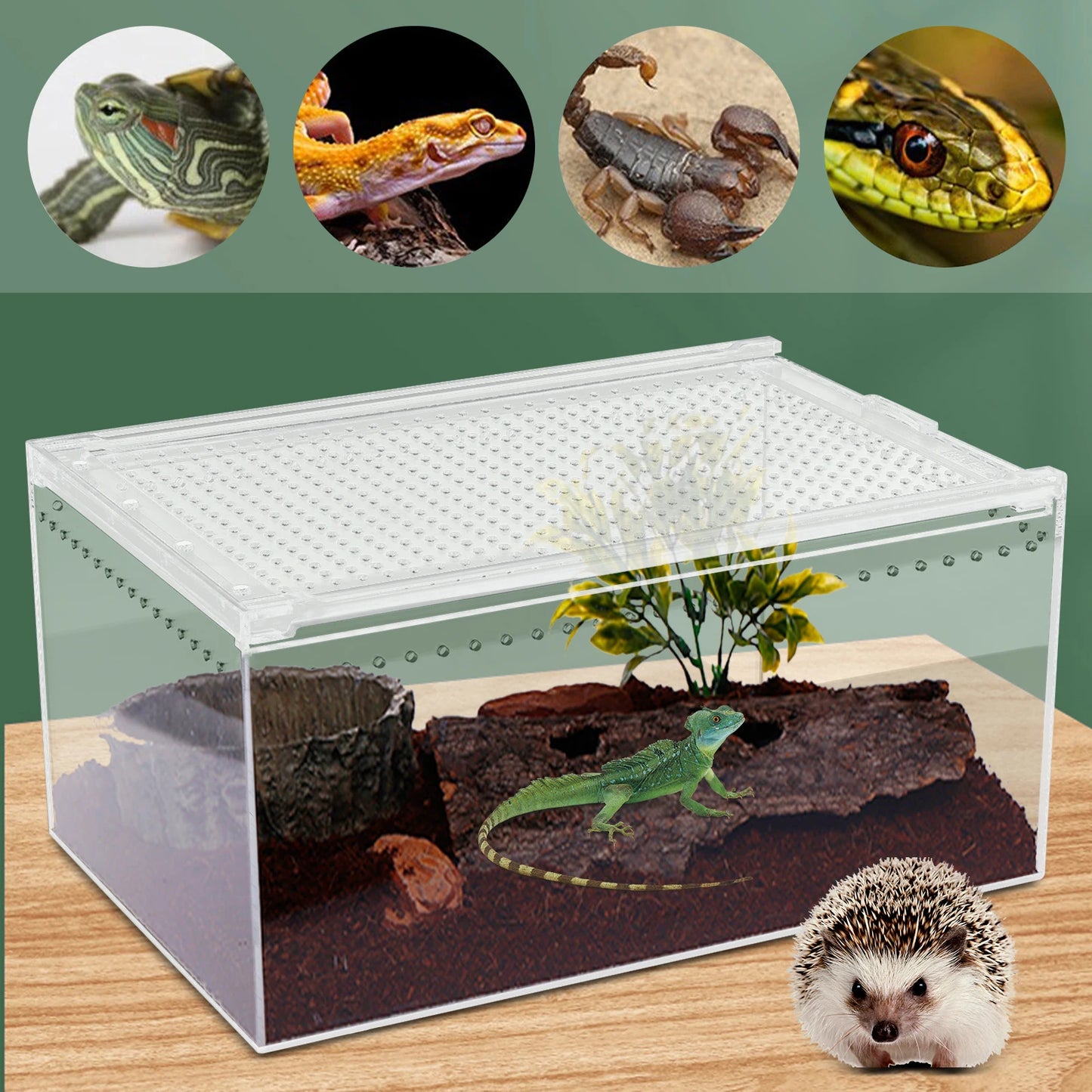 Bymaocar Clear Acrylic Reptile Terrarium Stackable With Magnetic Lock