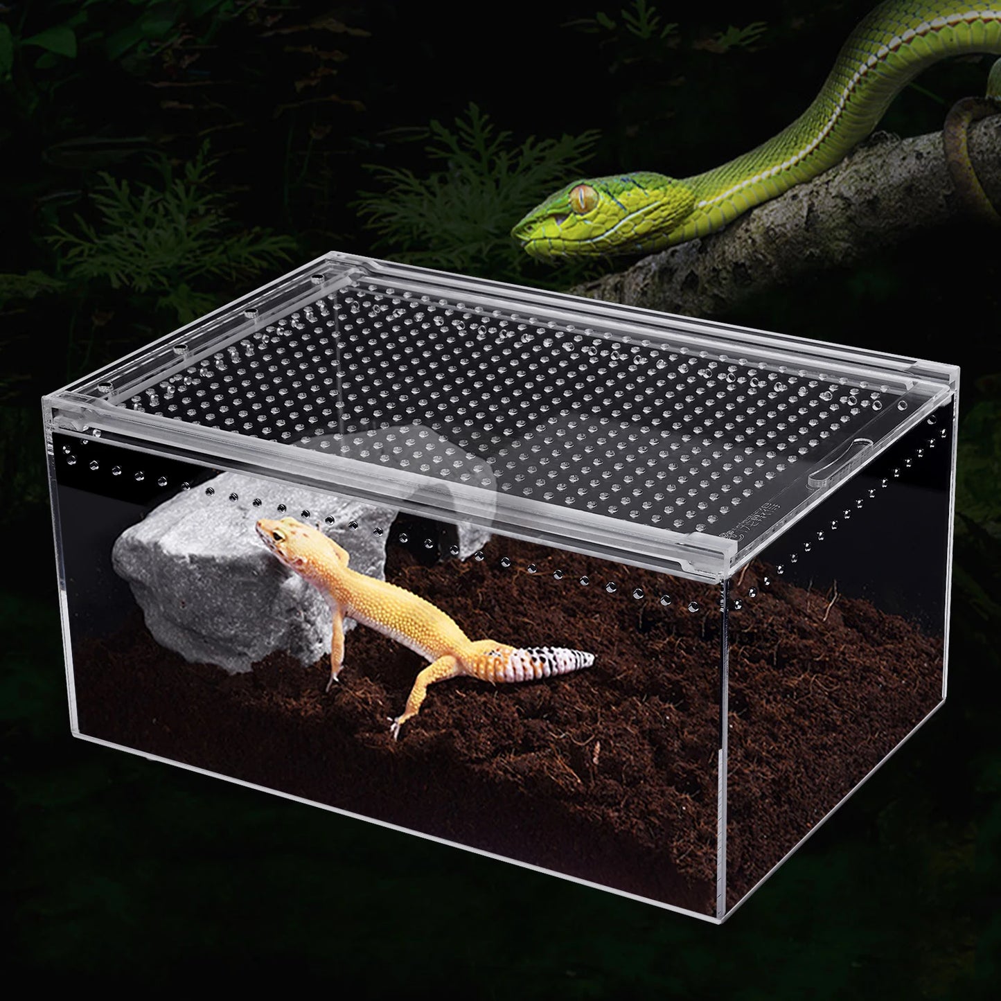 Bymaocar Clear Acrylic Reptile Terrarium Stackable With Magnetic Lock