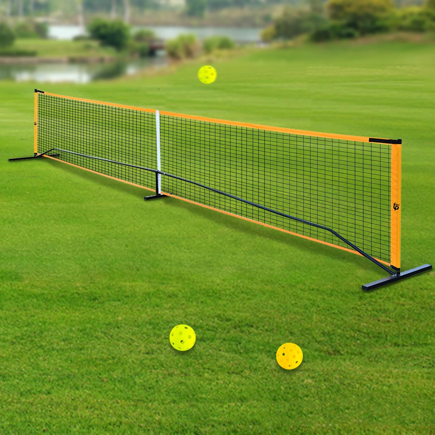 Portable Pickleball Net Set With 4 Paddles Pickleballs Carry Bag