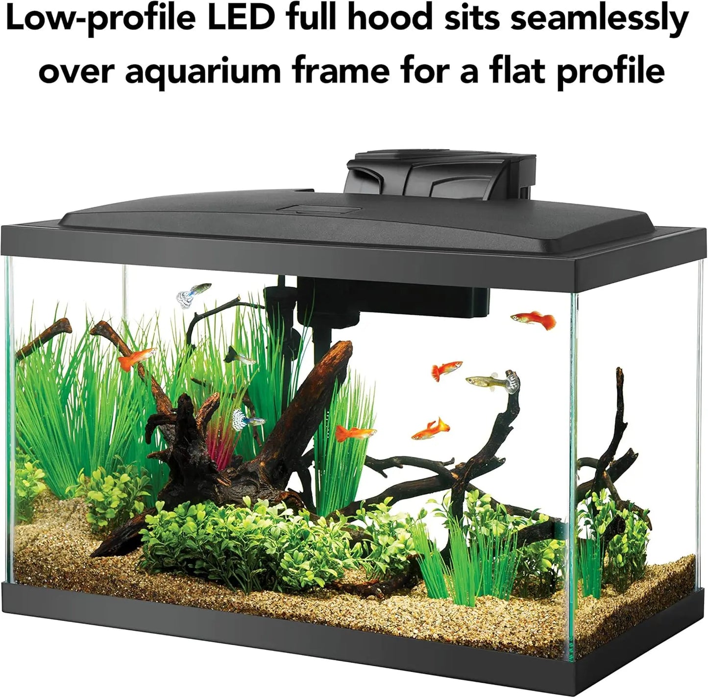 All-In-One Aquarium Starter Kit With LED Lighting For Freshwater Fish